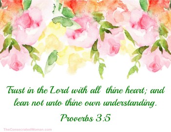 Proverbs 3 5 b