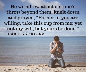 Luke 22 41-42.jpg