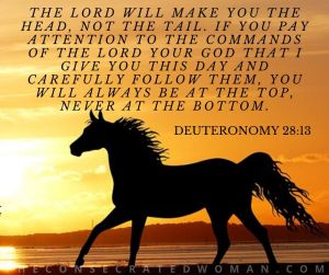 Deuteronomy 28 13