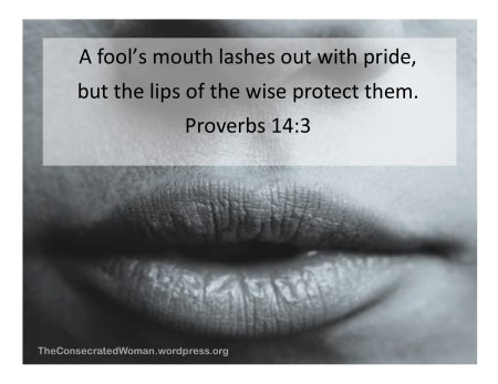 1 a proverbs 14 3