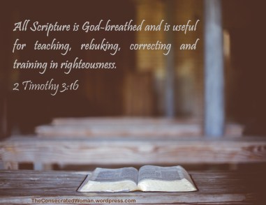 2 Timothy 3 16.jpg
