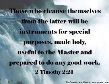 2 Timothy 2 21