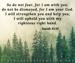 Isaiah 41 10