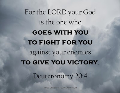 Deuteronomy 20 4