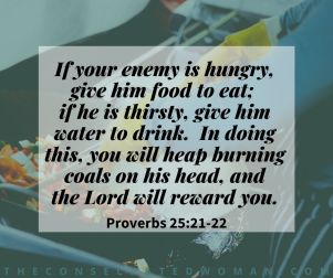 Proverbs 25 21-22