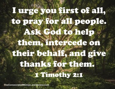 1 Timothy 2 1 (2).jpg