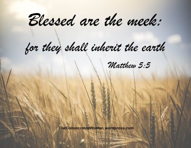 Matthew 5 5