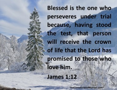 james 1 12