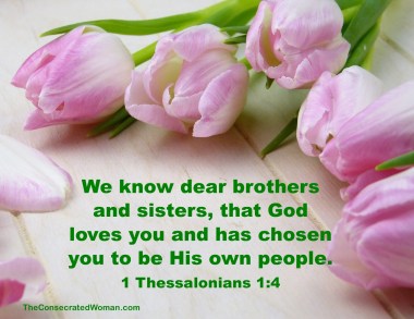 1 Thessalonians 1 4.jpg