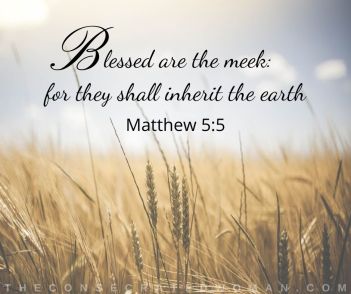 Matthew 5 5