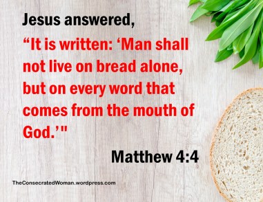 1 11-12 1 Matthew 4 4.jpg