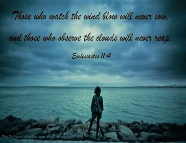 Ecclesiastes 11 4.jpg