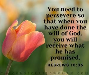 Hebrews 10 36 2
