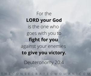 Deuteronomy 20 4
