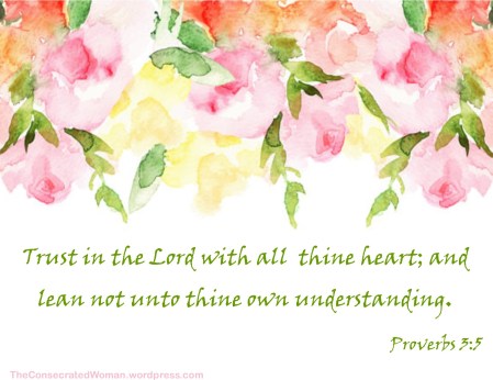1 proverbs 3 5