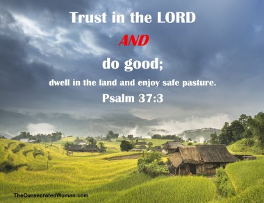 psalm 37 3