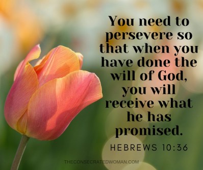 Hebrews 10 36 2.jpg