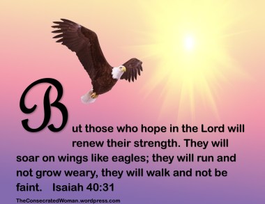 Isaiah 40 31.jpg