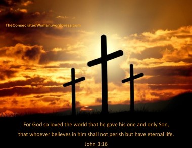 John 3 16