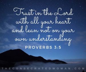 Proverbs 3 5 a