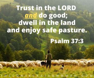 Psalm 37 3.jpg