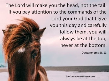 Deuteronomy 28 13
