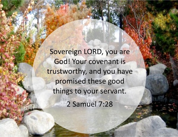 2 Samuel 7 28.jpg