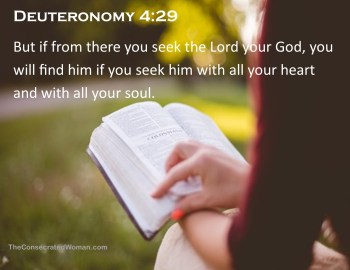 Deuteronomy 4 29