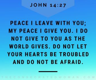 John 14 27