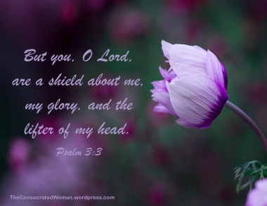 1 11-24 1 Psalm 3 3.jpg