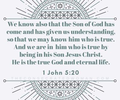 1 John 5 20