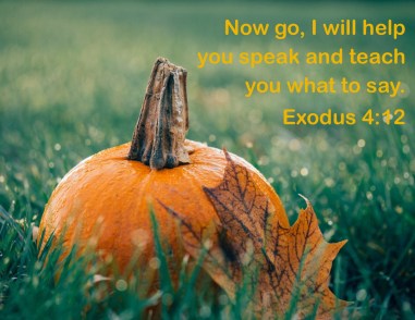 Exodus 4 12.jpg
