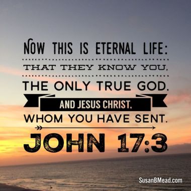1 john 17 3