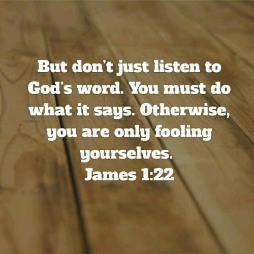 21770_415103522004711_4495779670083631105_n