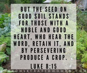 Luke 8 15