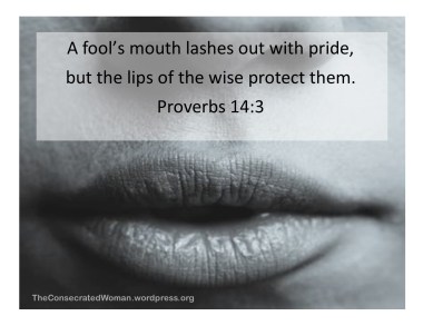 Proverbs 14 3