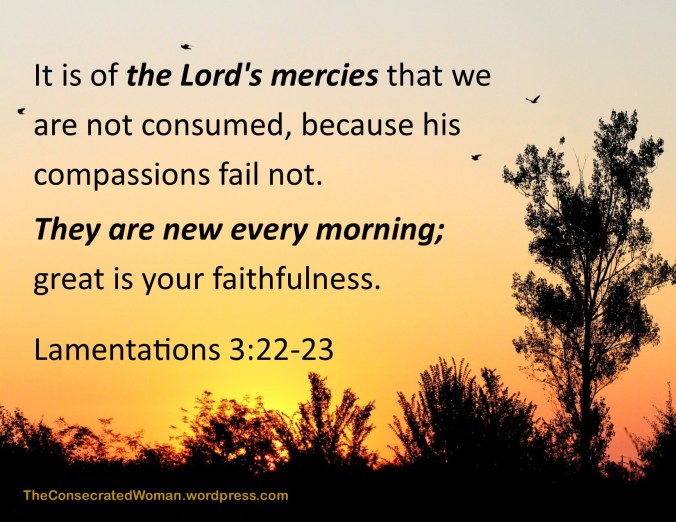 Lamentations 3 22-23.jpg