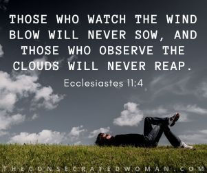 Ecclesiastes 11 4