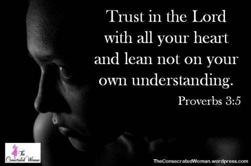 Proverbs 3 5