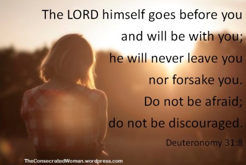 Deuteronomy 31 8