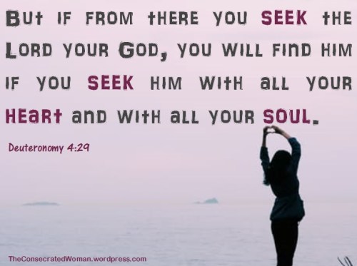 deuteronomy-4-29