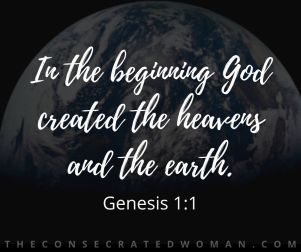 Genesis 1 1