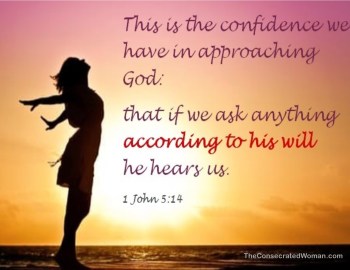 1 John 5 14
