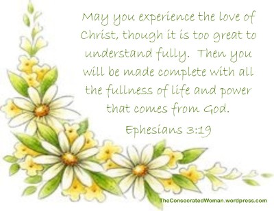 1 ephesians 3 19