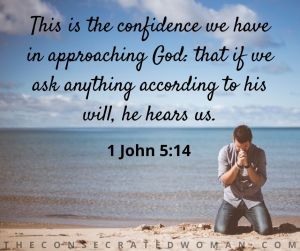 1 John 5 14