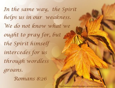 Romans 8 26