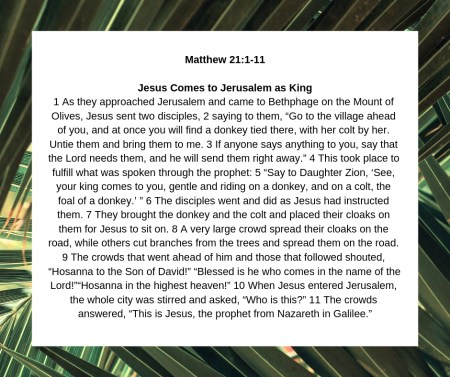 Matthew 21 1-11.jpg