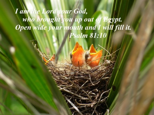 psalm-81v10.jpg