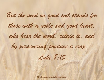 Luke 8 15
