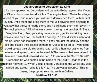 Matthew 21 1-11